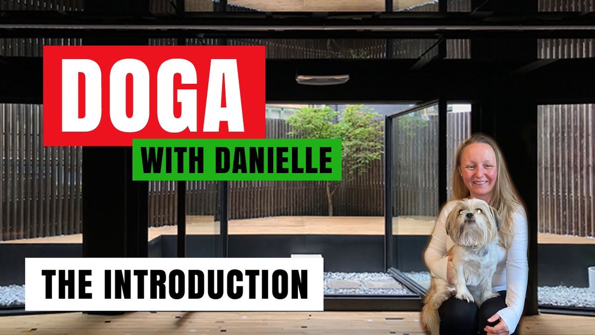 Doga with Danielle - The Introduction • #DogaWithDanielle
#ChildOfGod #ChildOfGodTeam #ChildOfGodMovement #Doga #Yoga #Movement #Health #Fitness #Malshi #Shitsu #Maltese #DogLover #MentalHealth #Spirituality #Recovery #Introduction #Welcome #Connection
https://t.co/sA74YU4YUW https://t.co/UXQkn6lLSH