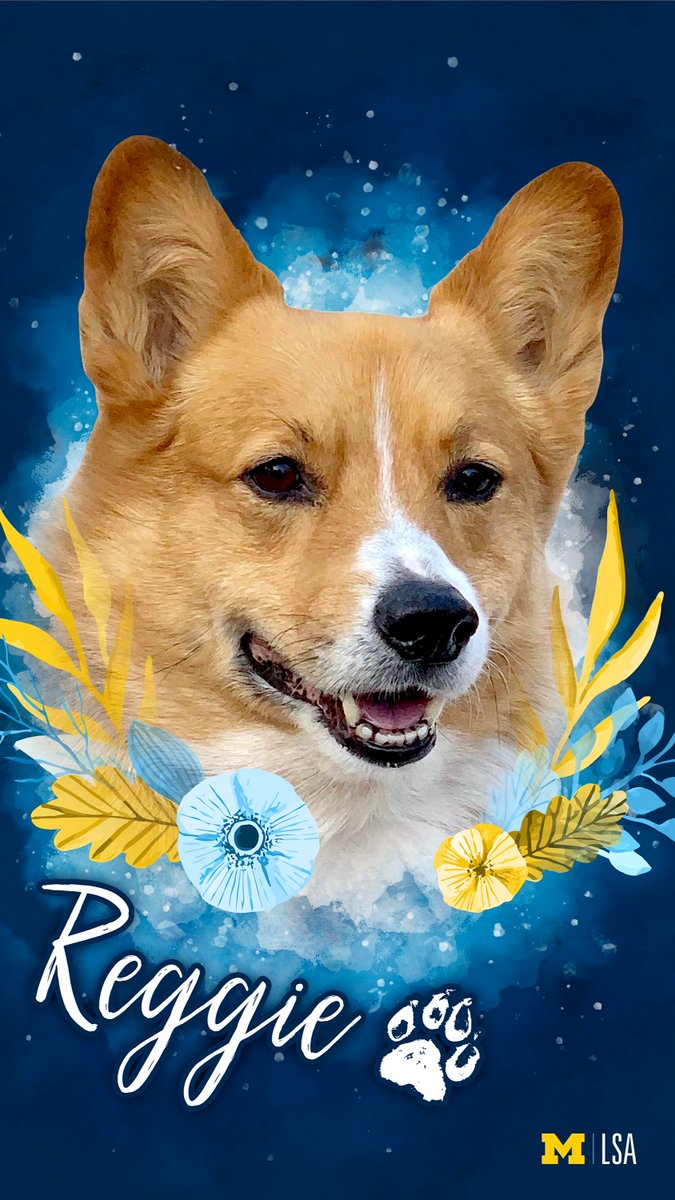 Thanks to the LSA Community for helping us reach 10k followers on Instagram! To celebrate, here are phone wallpaper versions of special Reggie the Campus Corgi and Maggie Curzan designs. 🐶🐱