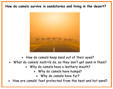 HillMeadYear3's tweet photo. This morning in science you are going to explore how camels adapt to the desert.  

Look at the images below and use ‘Kiddle’ to do safe searching on how camels survive in a desert environment. https://t.co/zmfDujveXh https://t.co/H98vg6rIl1