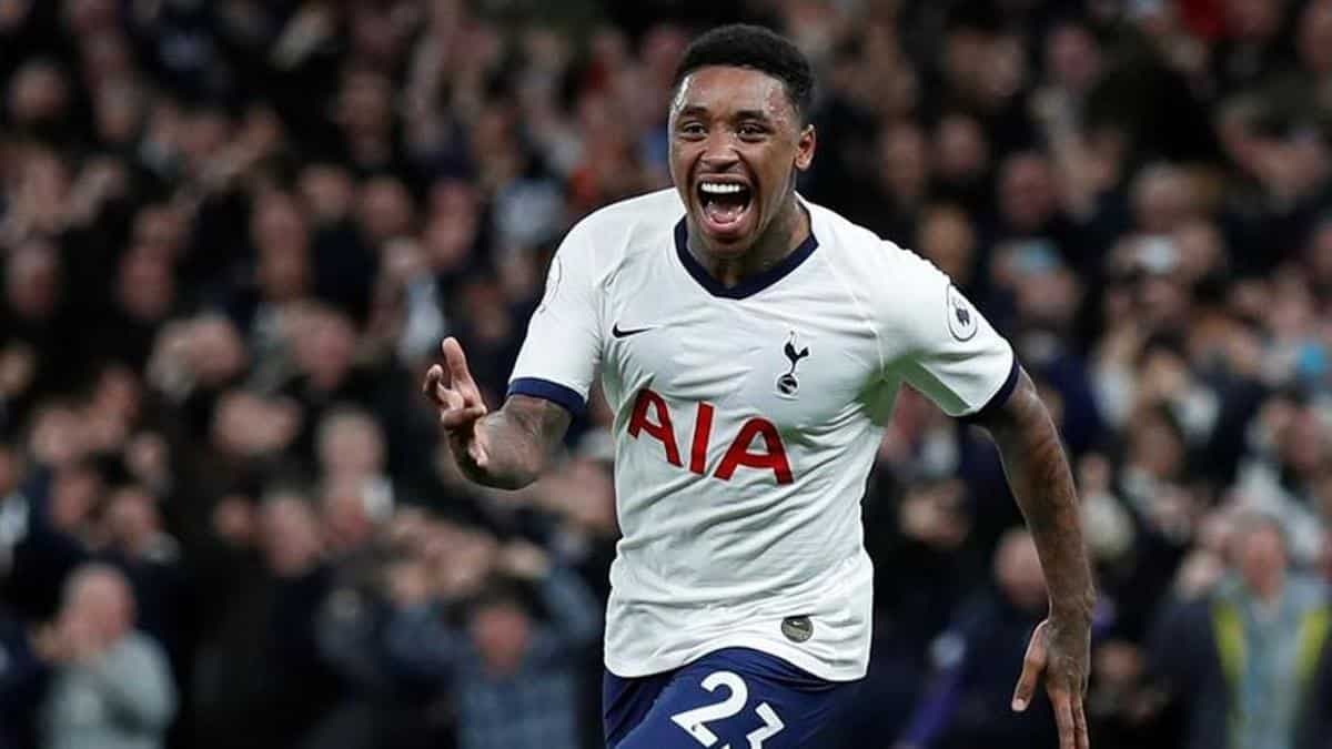 Бергвейн. Псв бергвейн. Бергвейн. Бергвейн с ребенком. Бергвейн.