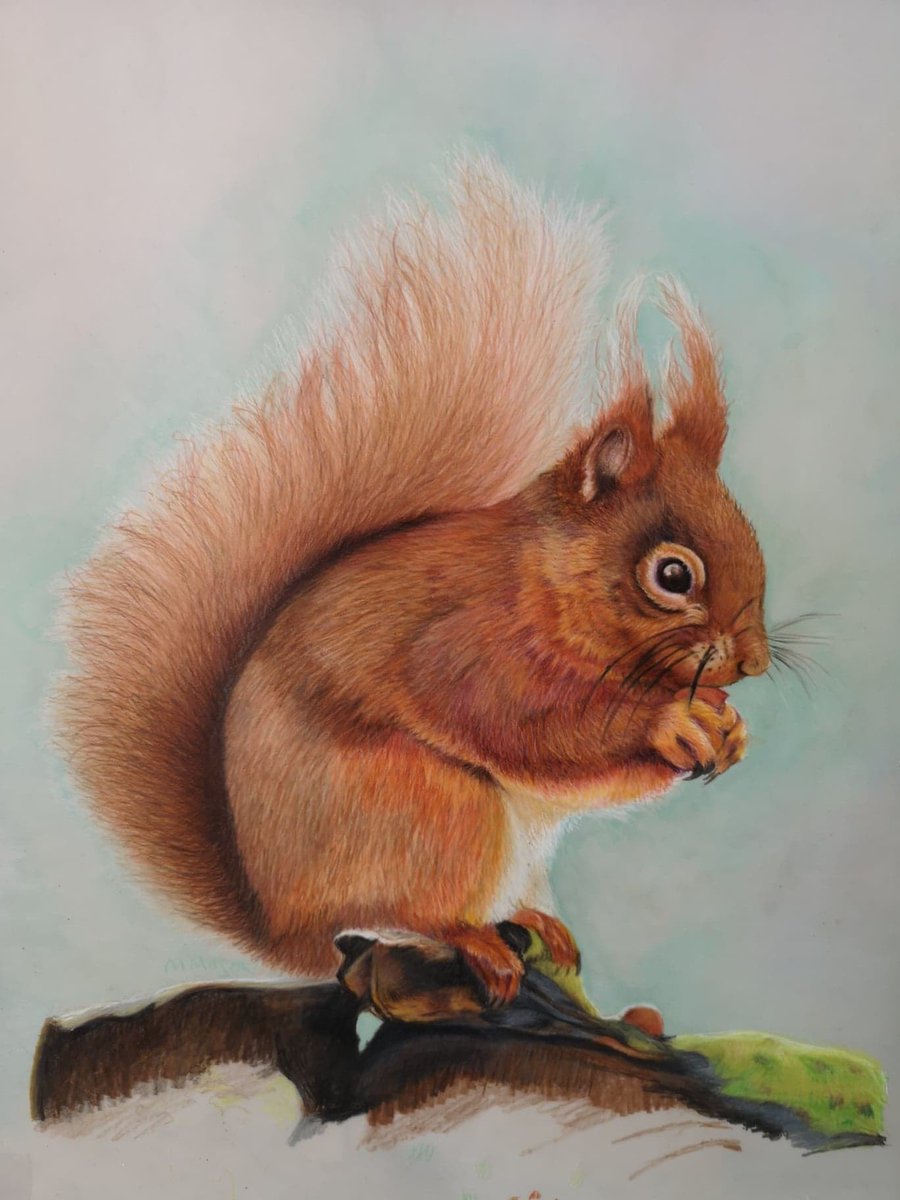 Cute little squirrel is all finished 😊