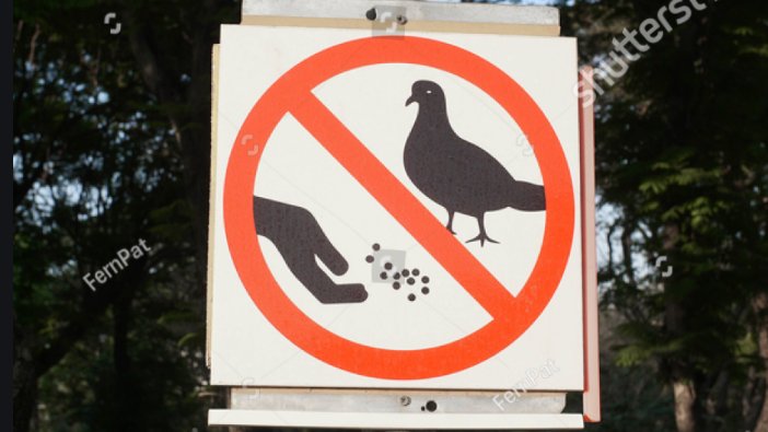 ProBirdRights's tweet image. cancelle cluture strike again