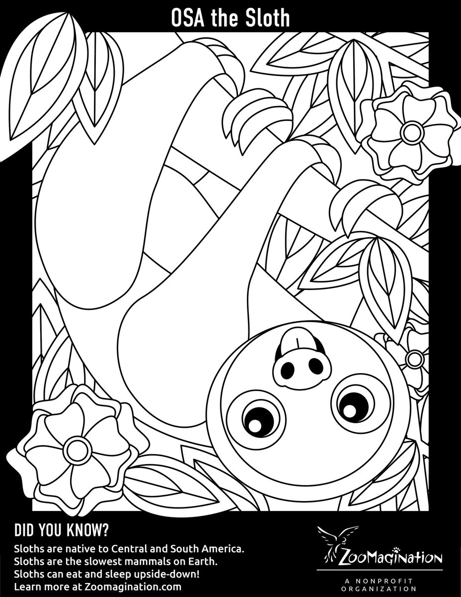 Zoomagination's tweet photo. Calling all #CreativeCritters! We’ve got something new and fun for you! Download our new coloring pages! Post to Instagram, Facebook, or Twitter. Make sure to follow, tag us, and use the hashtag #CreativeCritters so we can share your works of art!!!  
https://t.co/cXvQf37BGK https://t.co/GvLadgGBnA