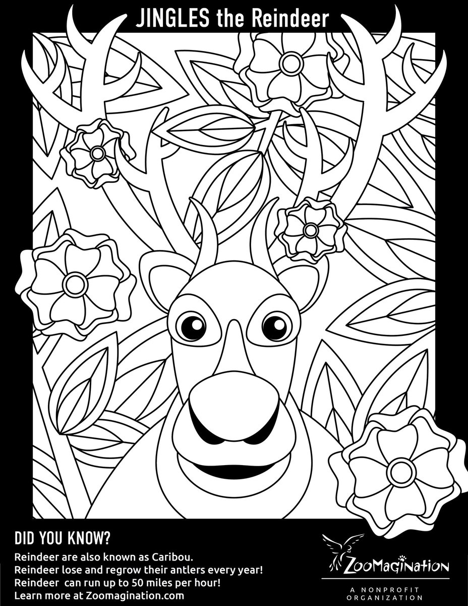 Calling all #CreativeCritters! We’ve got something new and fun for you! Download our new coloring pages! Post to Instagram, Facebook, or Twitter. Make sure to follow, tag us, and use the hashtag #CreativeCritters so we can share your works of art!!!  
Zoomagination.com/animals