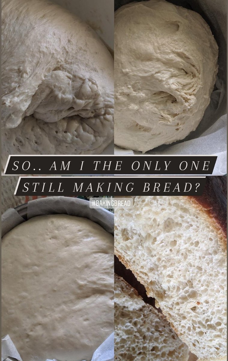 ioana_cis's tweet image. So.. am I the only one still making bread? #backingbread 🍞 #covid19