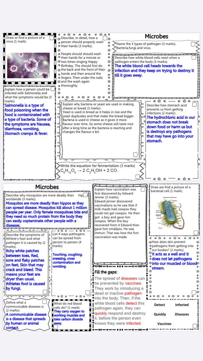 LesQScience's tweet image. Some examples of great student work for Science over the lockdown period. Great work Kira, Jagoda, Charlie and Nathaniel!🔖🌟#lqsambition #lockdownwork #schoolwork