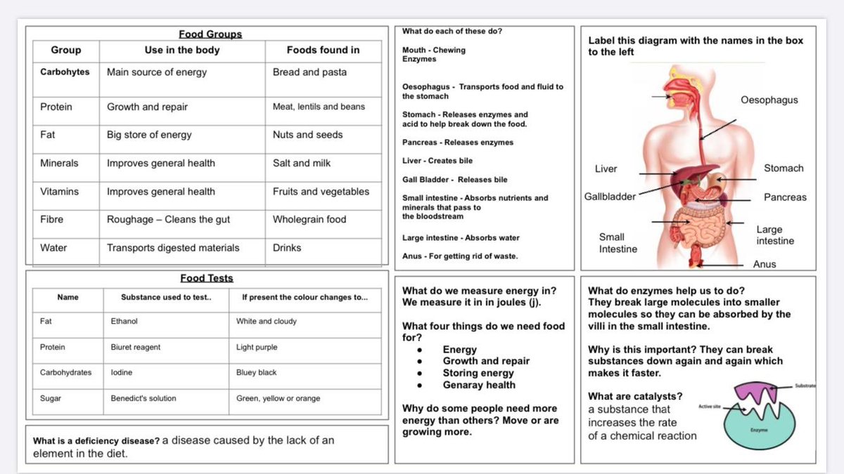 LesQScience's tweet image. Some examples of great student work for Science over the lockdown period. Great work Kira, Jagoda, Charlie and Nathaniel!🔖🌟#lqsambition #lockdownwork #schoolwork