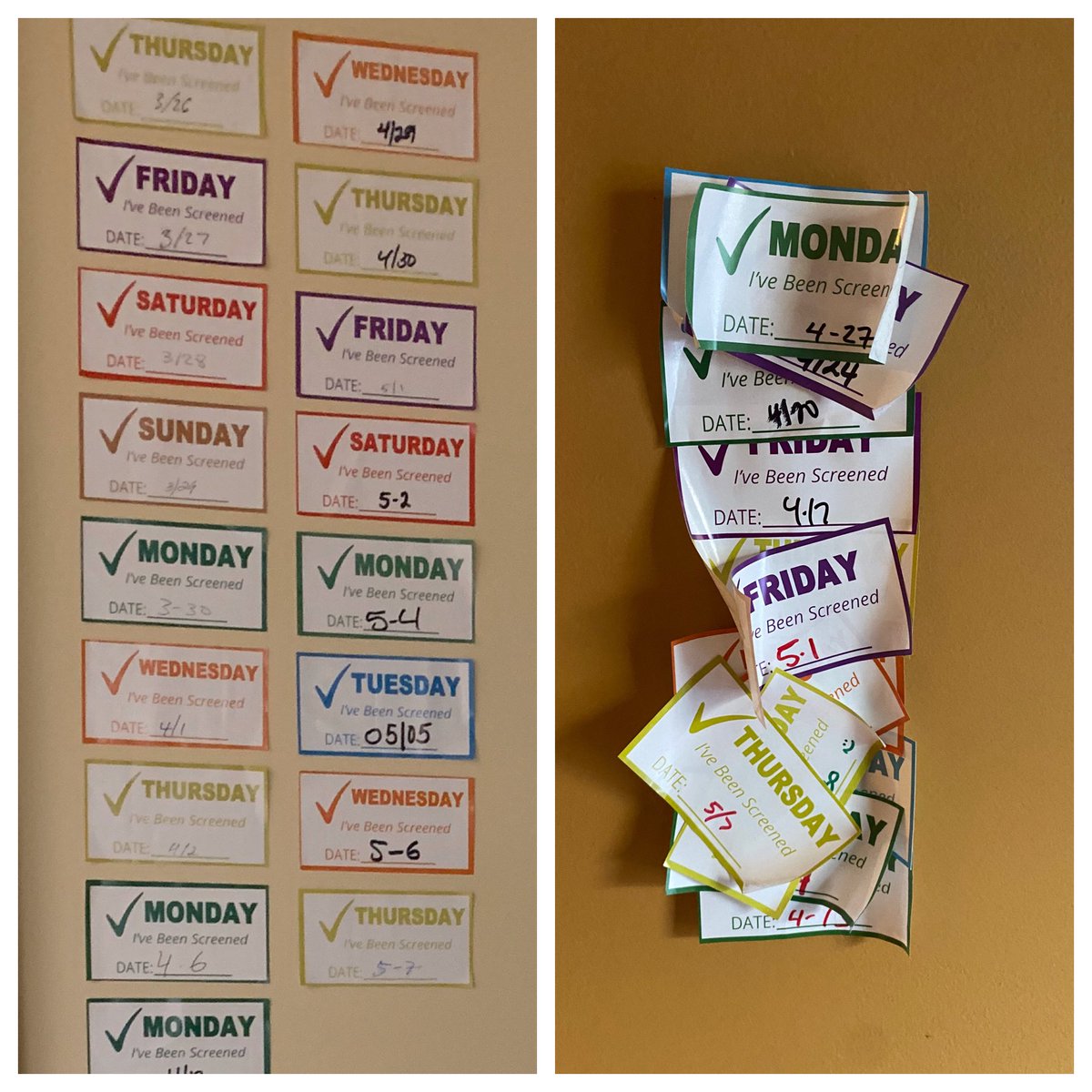 left brain ~ right brain