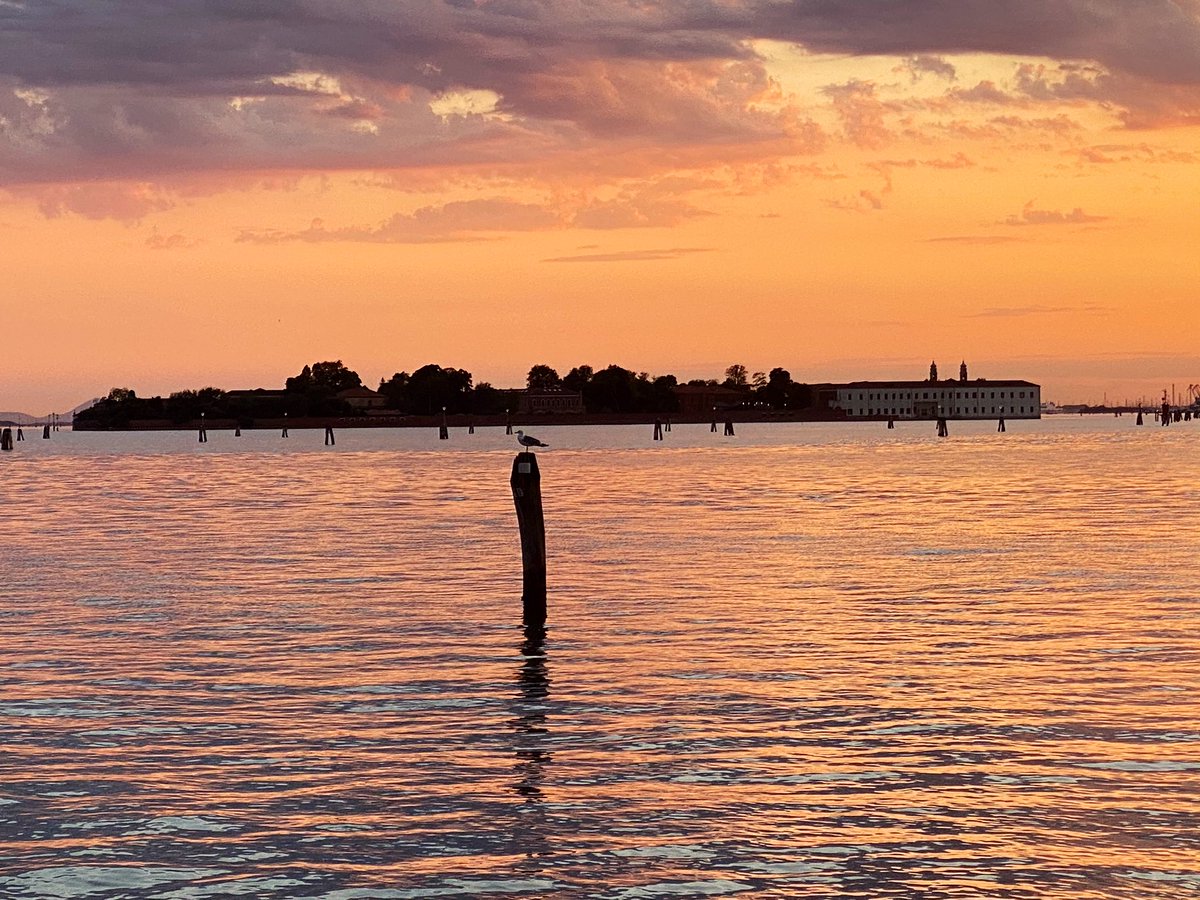 ApolloVentuno's tweet image. Condividere, la parte più bella di ogni storia 🌅✨