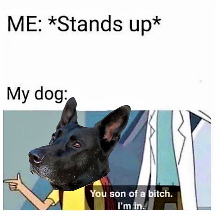 The accuracy of this meme is astounding :)

#WarFaceWednesday :::  facebook.com/F3Tactical/pho…