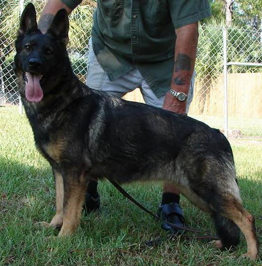 5. DDR /East German Working Line.