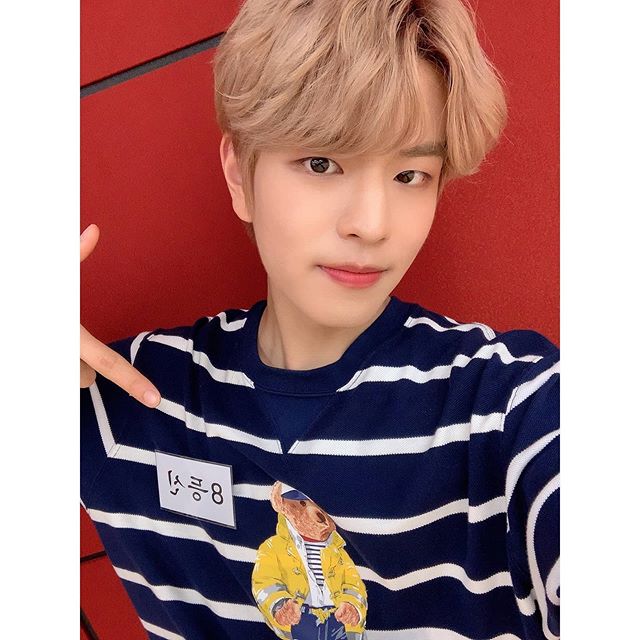 SEUNGMINPERUFC's tweet photo. 📱[ IG • 200701 ] @StrayKids | #Seungmin 🐶

" ㅋ ㄱㅋ ㄱㅋ ㄱㅋ ㄱㅋ ㄱㅋ ㄱㅋ ㄱㅋ 😭😭 ¡Una filmación agradable aunque fue vergonzosa! 

#SeungStagram #Finding_StrayKids "

+📸:📎https://t.co/nJxDe6vHfO
©️realstraykids
Trad. Ing: StrayKidsGlobal
Trad. esp: Min01💓 https://t.co/fo2IscAVK0