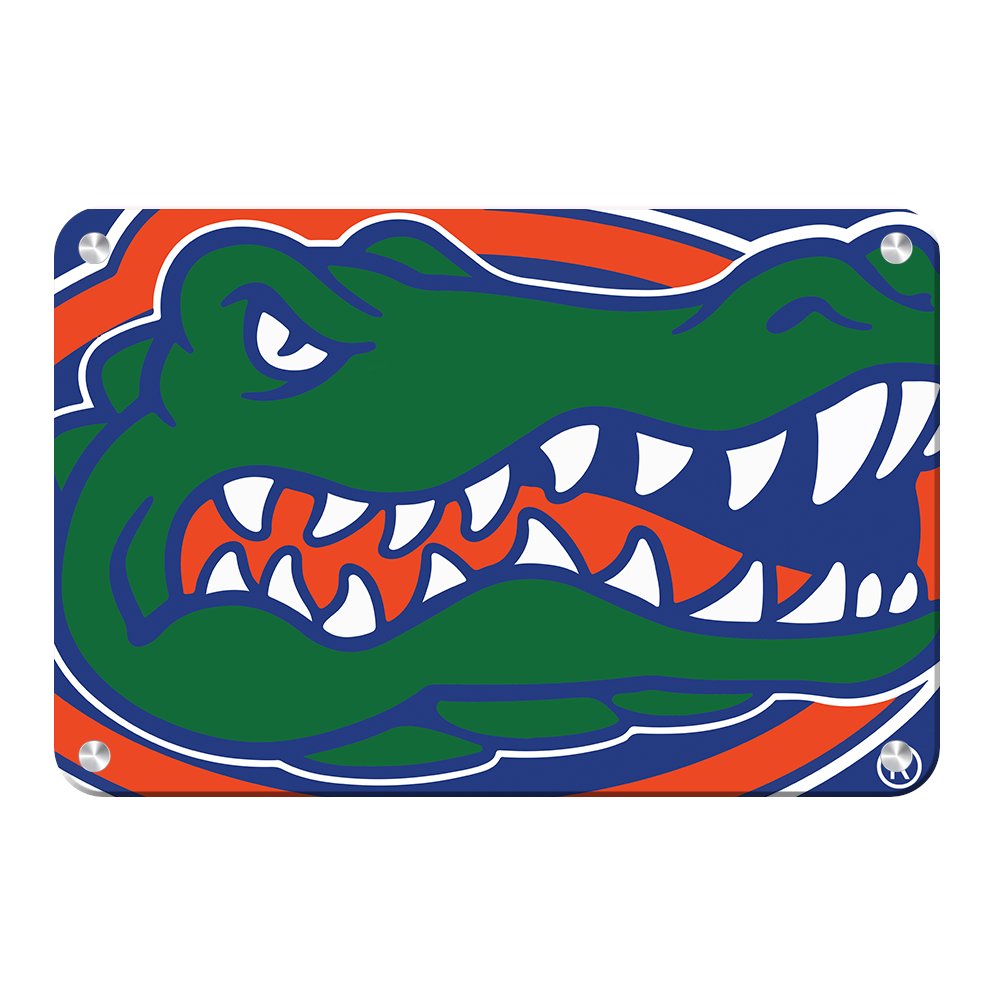 Go Gators! This image is captured on MaxMetal. You can see more images like this at collegewallart.com
