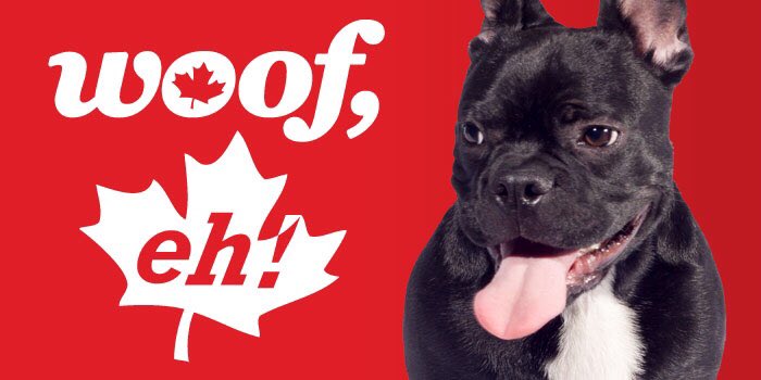ImLocum's tweet photo. IMLocum is proud to support Canadian clinics and locums across Canada!🇨🇦 Happy #CanadaDay! https://t.co/nH0iq0gRGw