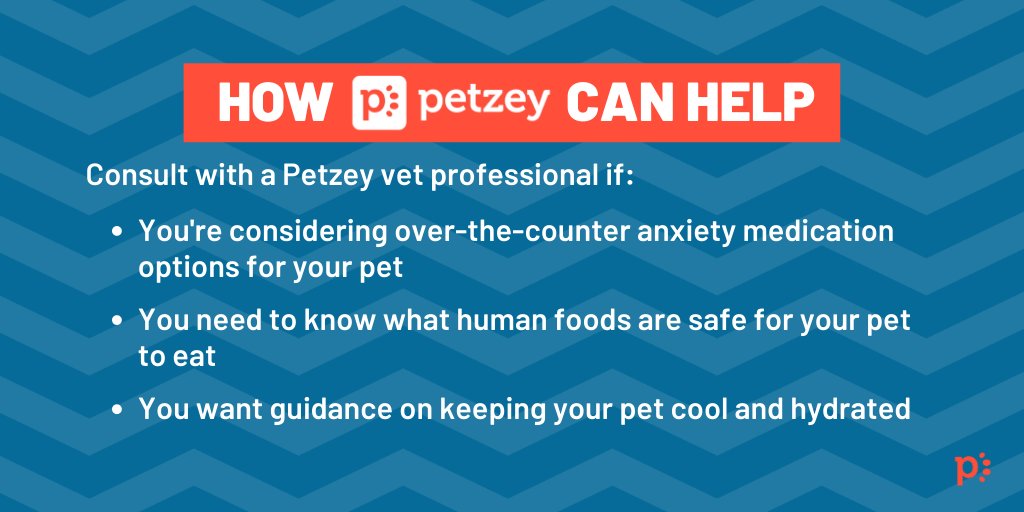 Hot grills, dropped food, booming fireworks - oh my! Here's how #Petzey can help make sure your pet has a safe holiday weekend.
