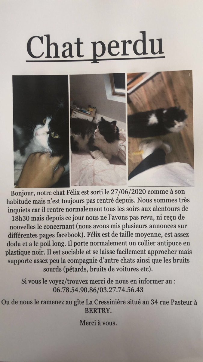 LucieCrssn's tweet photo. on perd espoir.. partagez s’il vous plaît c’est vraiment important pour nous.. https://t.co/rolftno1FR