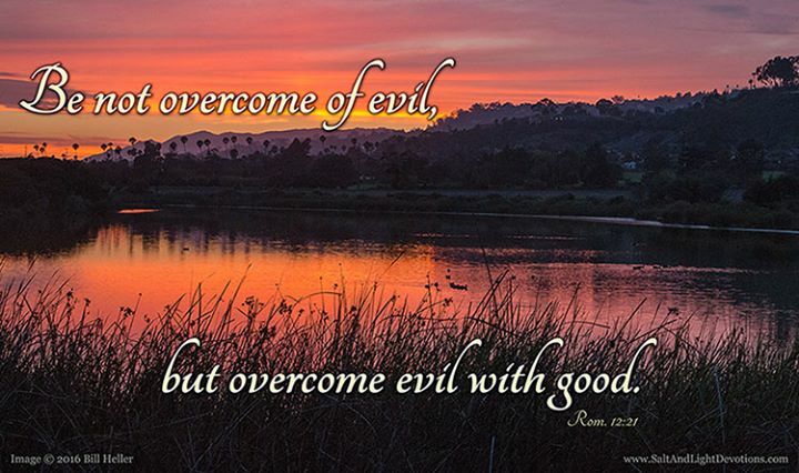 SaltAndLightDvt's tweet photo. Recompense to no man evil for evil. Provide things honest in the sight of all men. 18 If it be possible, as much as lieth in you, live peaceably with all men. 19 Dearly beloved, avenge not yourselves, but rather give place unto wrath: for it is written, Vengeance is mine; I … https://t.co/bzp8mVDDQo