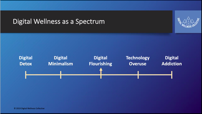 Attending @digital_mindful's Digital Wellness Festival 2020  makes me wonder why I'm still staring at my screen at 9 PM 👩‍💻🙄 the irony!