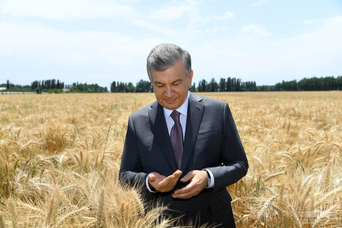 last set, compiled from the replies. The calendar is now finished and ready to ship, you are welcome