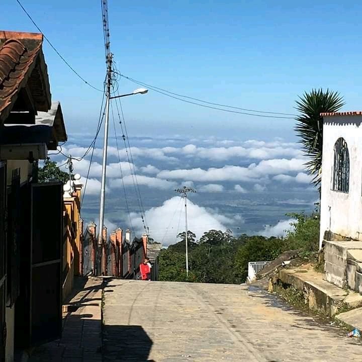 El Fogón de Palo🔥 tweet media