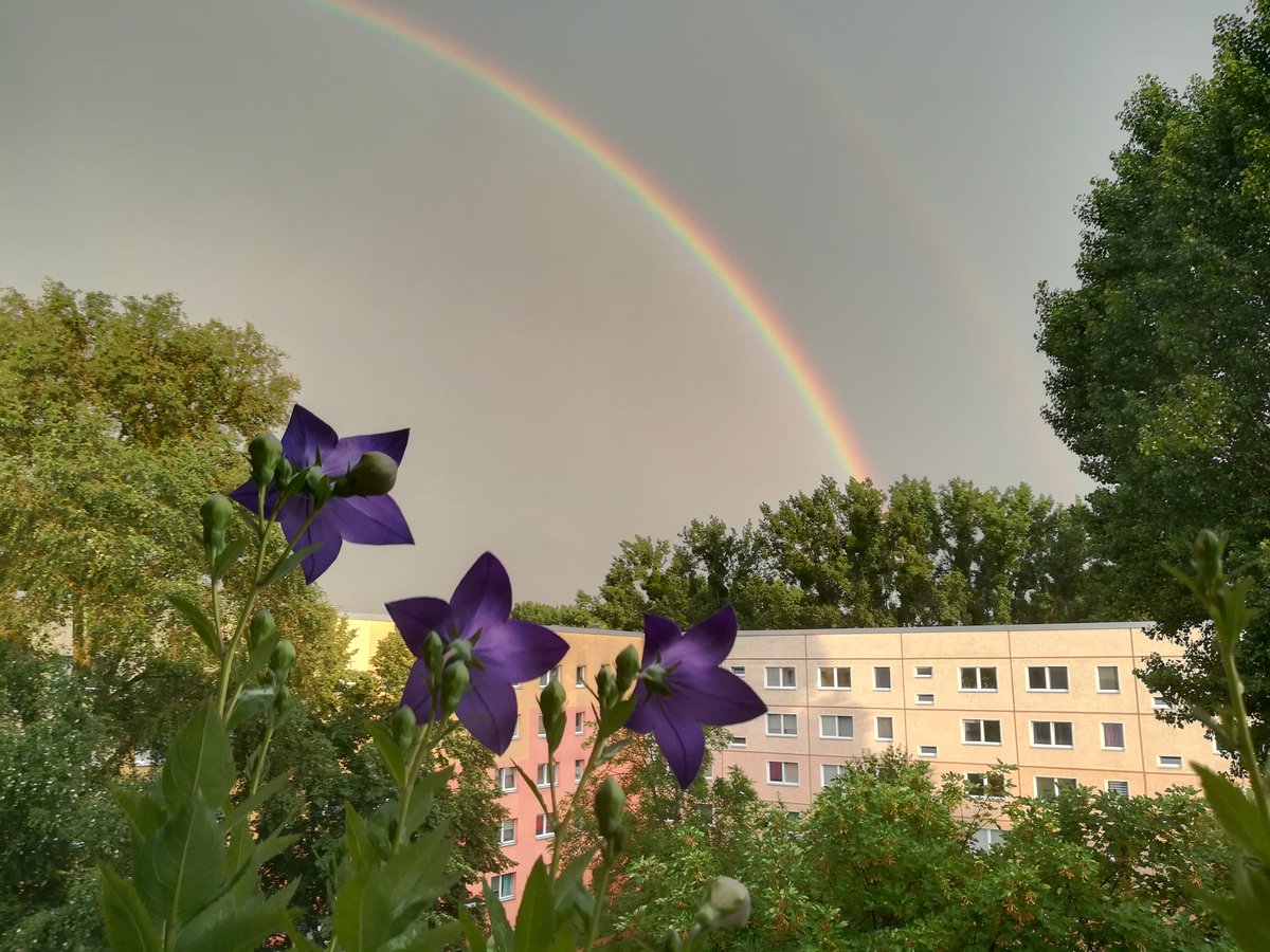 antchea's tweet photo. Nach dem #Gewitter in #Potsdam #Schlaatz https://t.co/I7NTyzzOSW