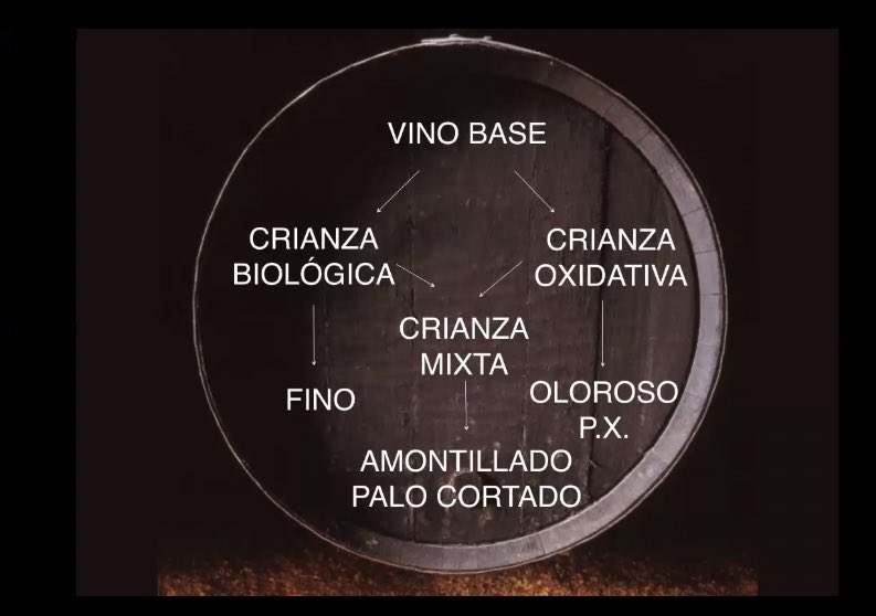 andaluciadevino's tweet photo. Espectacular cata formativa en la Sesión de hoy del Taller de #VinosdeMoriles dirigida por @EnologoMVilla y moderada por @_FranLeon embajador de #moriles #morileswine #montillamoriles #cordoba #vinosmoriles #vinosnaturales #vinosandaluces #tdsvinos https://t.co/dmgrGhc8Hp