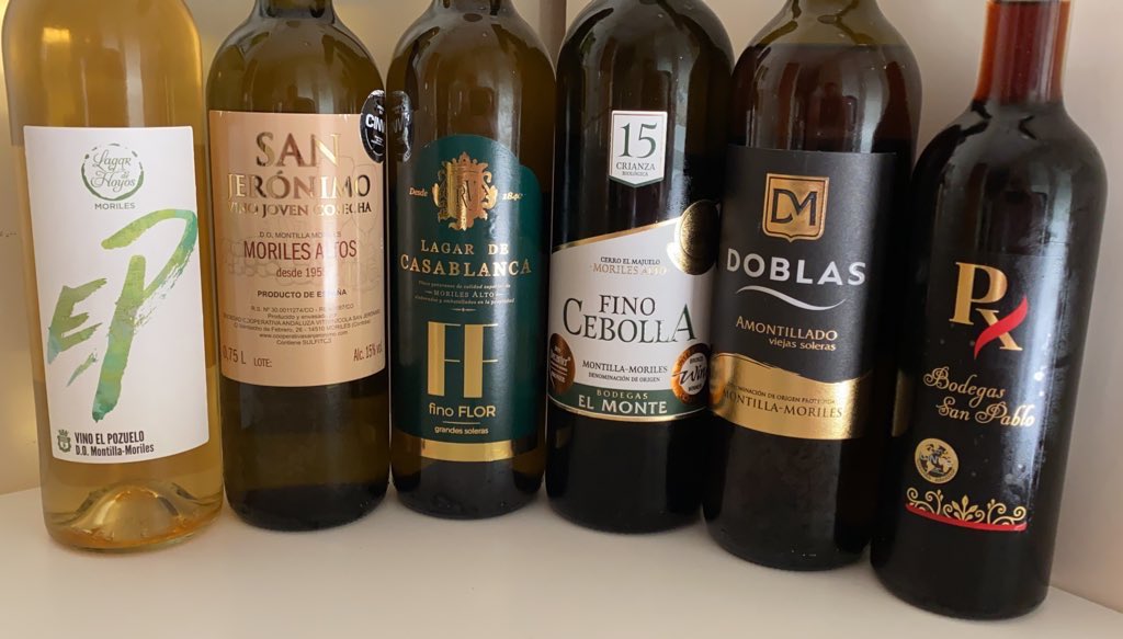 andaluciadevino's tweet photo. Espectacular cata formativa en la Sesión de hoy del Taller de #VinosdeMoriles dirigida por @EnologoMVilla y moderada por @_FranLeon embajador de #moriles #morileswine #montillamoriles #cordoba #vinosmoriles #vinosnaturales #vinosandaluces #tdsvinos https://t.co/dmgrGhc8Hp