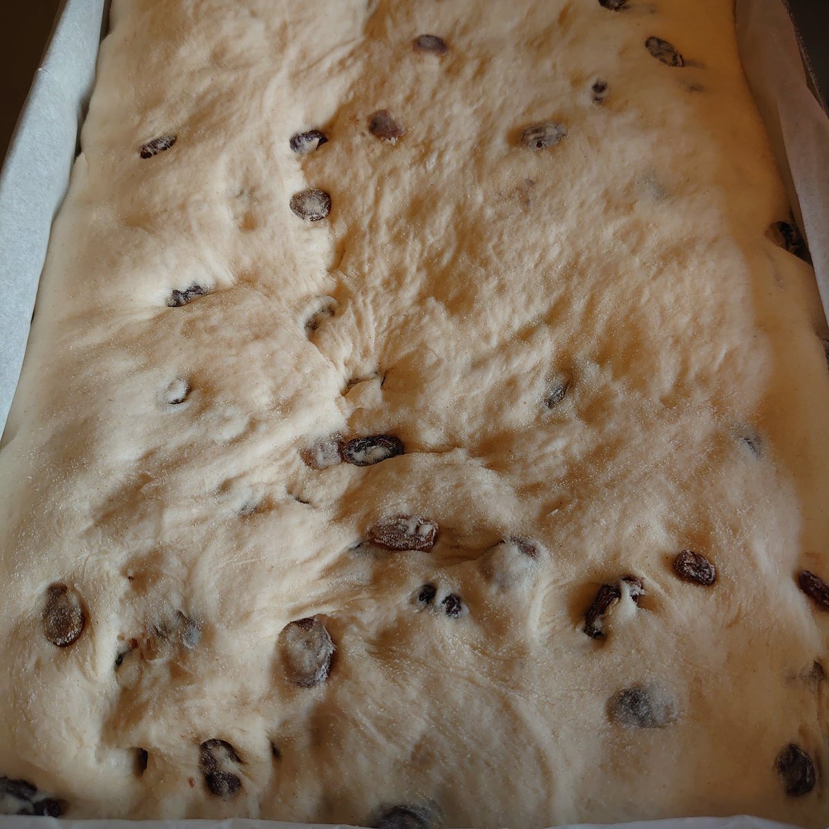 My daughters attempt at lardy cake, will have to see how it comes out! I am getting slightly nervous, taught her too well I think