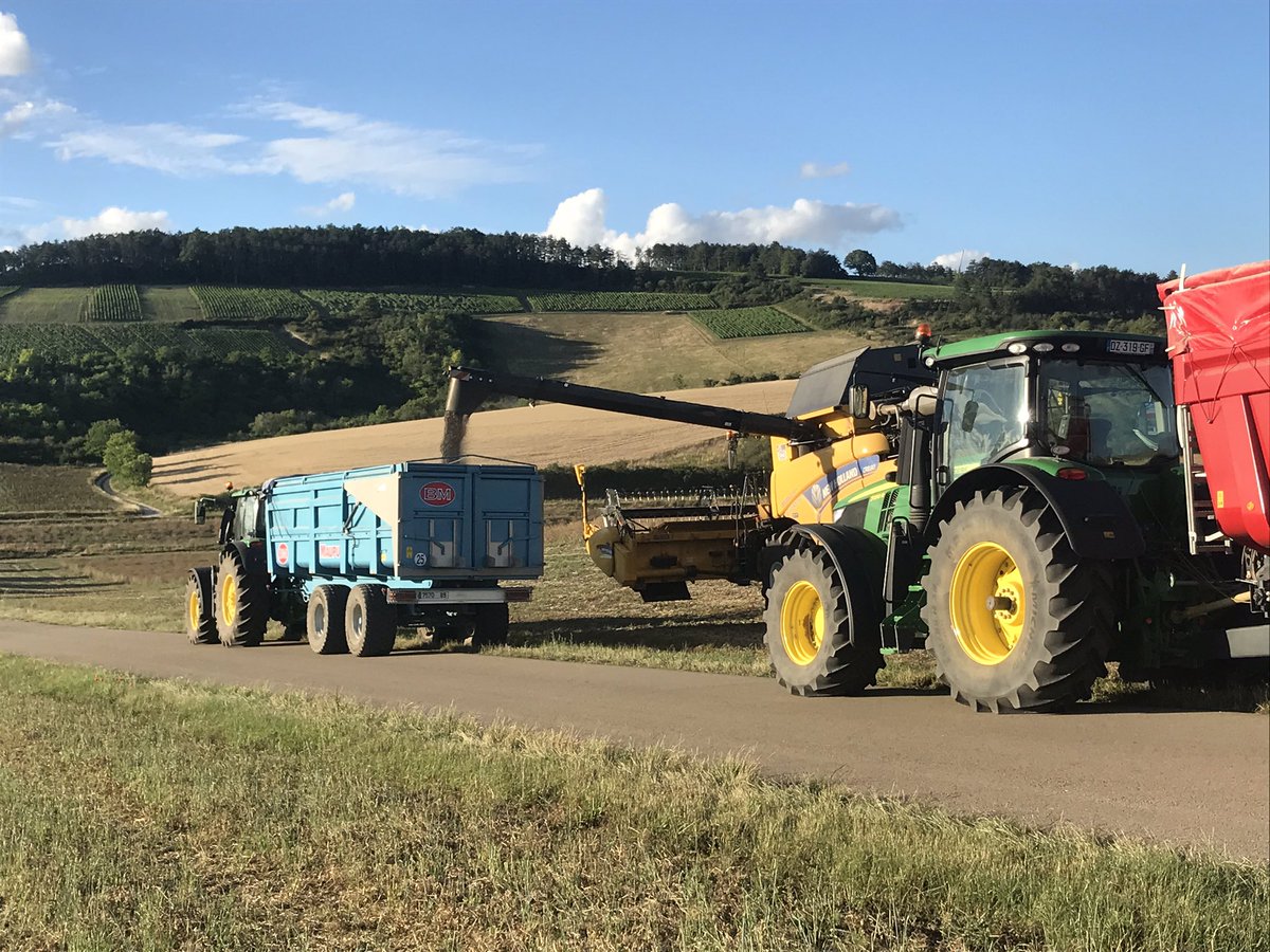 BONNIN1402's tweet photo. #moisson2020 dans nos @TdBourgogne de l’#Yonne
Du vert @JohnDeere , du rouge, du bleu et du jaune @NewHollandAgFr sous le #Sauvignon de #StBris pour dépasser 20q en #colza associé #féverole. https://t.co/4UXqezWoB1