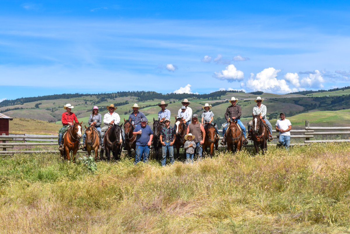 BigCanyonBeef's tweet photo. A week late on the pictures but here’s our last branding. Great group of friends helped us get it all done. Big thanks to everybody that helped. #bigcanyonbeef #localbeef #cowboy #ranchlife #branding https://t.co/UwHuSRE66g