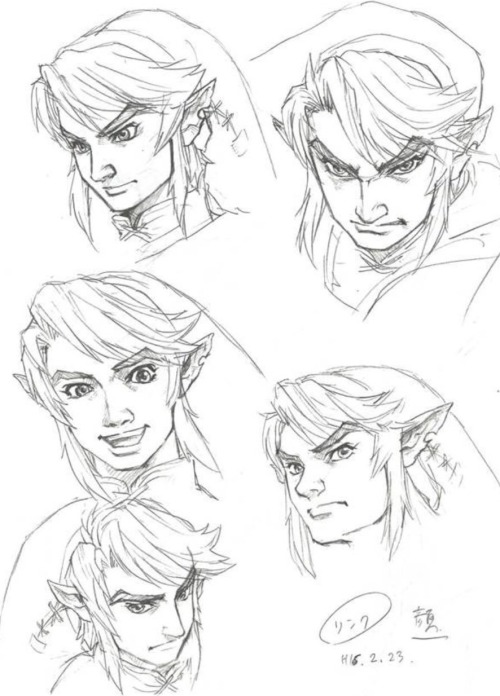 thinking about adult tp link 