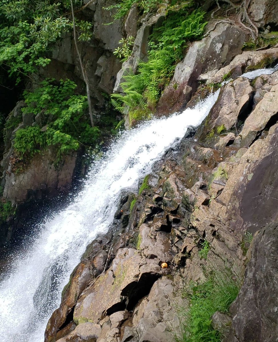 AngeredBeaver's tweet photo. I love spending time outdoors and exploring. Hawk falls in Hickory Run State Park
#Nature #hiking #HickoryRun #Waterfalls https://t.co/Gr0xBwz2ZG