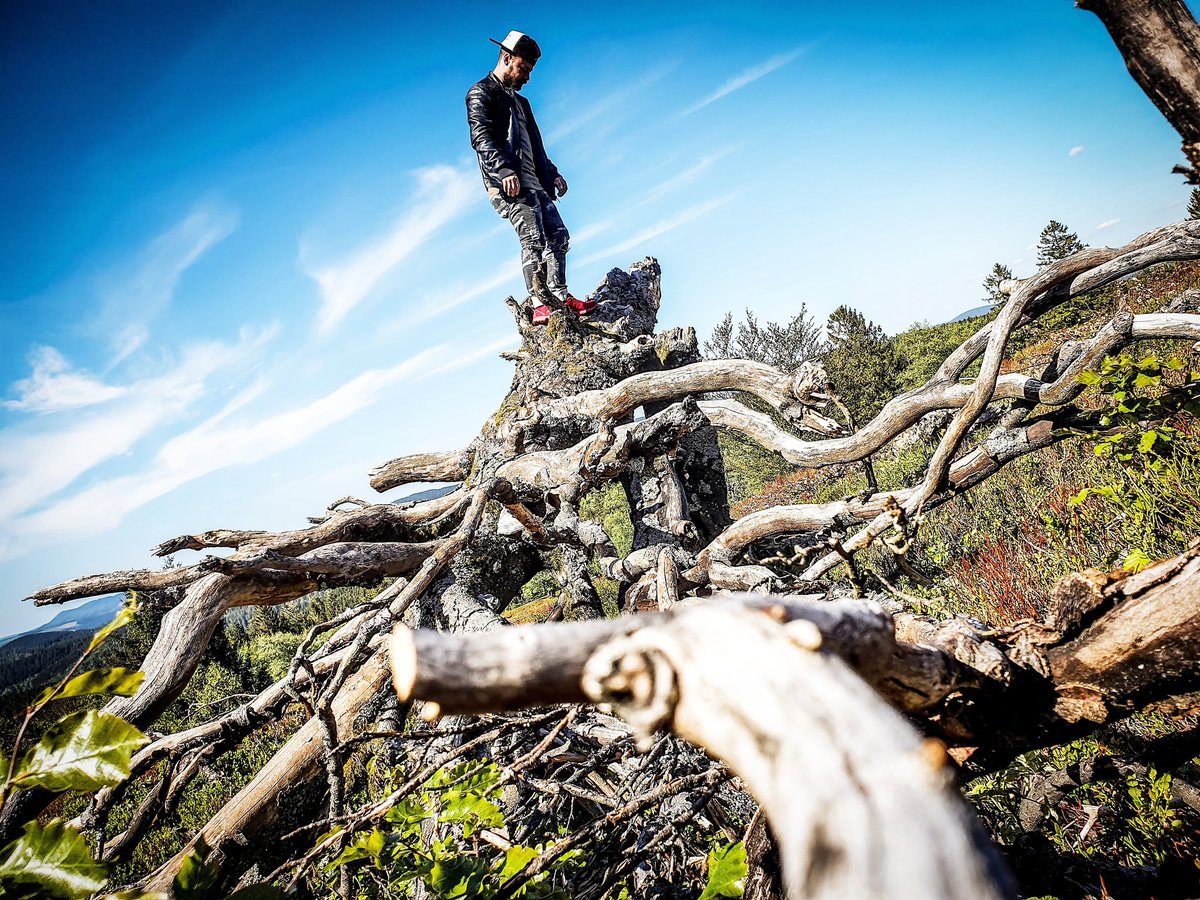 Saminem (@saminem100) on Twitter photo 