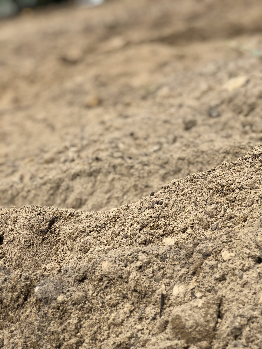 GreenGeniusFarm's tweet photo. We did some tilling to prepare the grounds! 

#UrbanFarming #farming #gardening #garden #urbangardening  #farmer #gardener #urbanfarm #homestead 
#backyardfarm #localdelivery #farmdelivery 
#backyardfarmmovement 
#localfarmdelivery #greengeniusfarms 
#marketfarm #farmingbusiness https://t.co/u6r86xZBhr