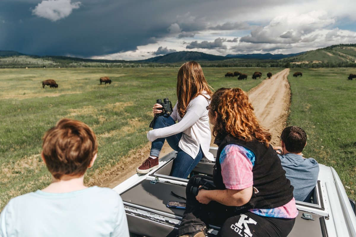 Did you hear the news? Wildlife Expeditions is ready to re-open their vans! We are excited to welcome guests to Jackson Hole and safely share the magic of Grand Teton and Yellowstone National Parks beginning on July 6, 2020.

The health and safety of our guides and guests is ...!