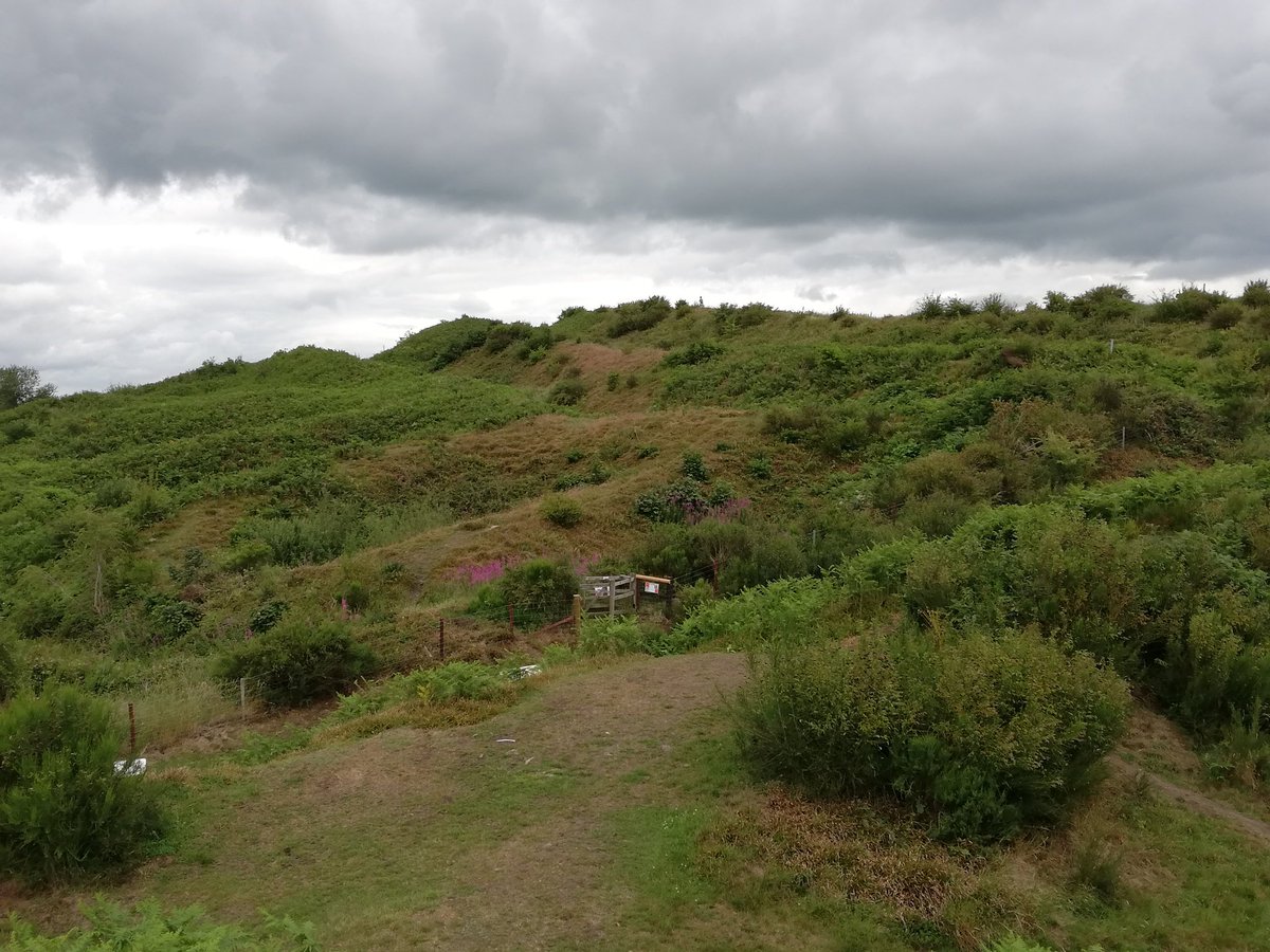 Day 9/25. Three miles in laps of  #HillfortWednesday Old Oswestry and I did yesterday's, today's and tomorrow's press ups because I have plans to do sod all tomorrow.