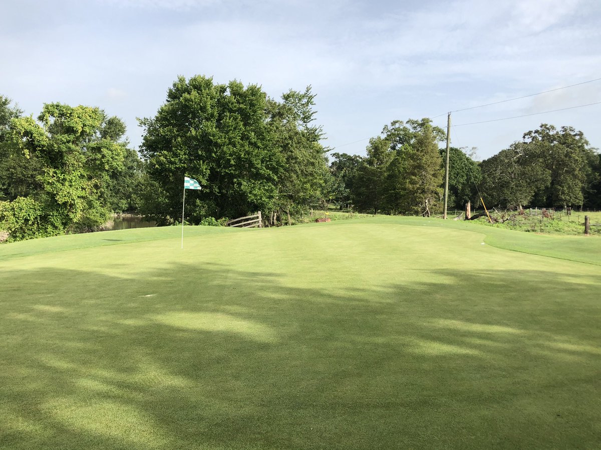 Campbell_Turf's tweet photo. After a rough go at it last season these 1 year old paspalum greens have made great strides this year with the help of Max Amino + Root Driver! @ampagronomy https://t.co/S1m8dTfnxE
