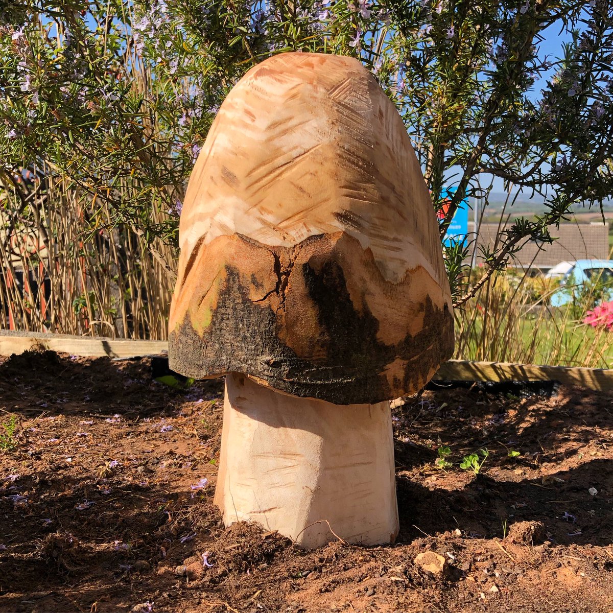 FullerCarpentry's tweet photo. Our garden mushroom 🍄 my first chainsaw carving #chainsawcarving #carpentrywork #carpentry #woodworking #mushrooms #mushroom #woodart #treestump https://t.co/1qzdGfq6y2