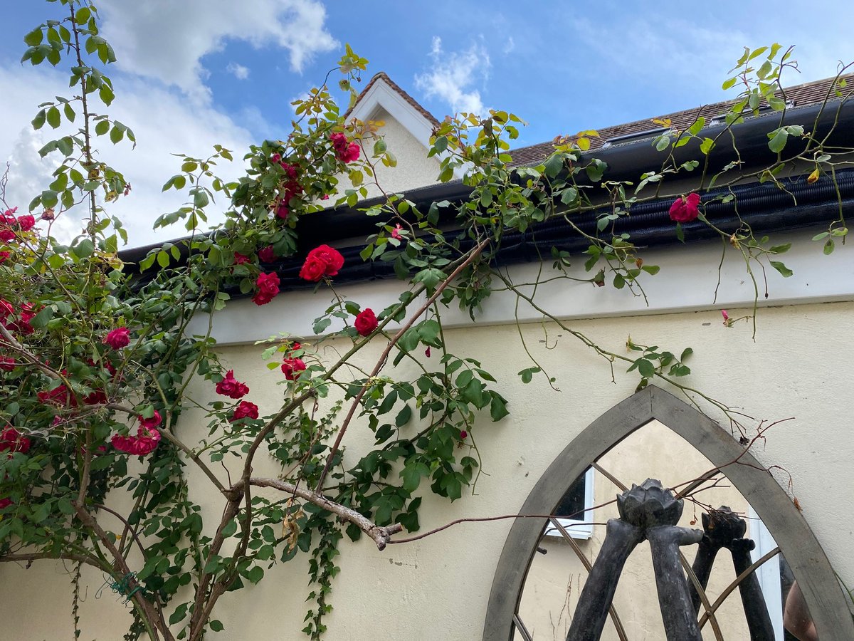 JemEnergy's tweet photo. ** NEW Air Source Heat Pump Installation photos **

⭐️ LG R32 Therma V : Air Source Heat Pump - 16 KW version ⭐️ alongside a new 
⭐️300L Pre Plumbed Un-vented  Hot Water Cylinder ⭐️ 

All in a days work!
#jemenergy #savingtheplanet https://t.co/i2wzufOxPb