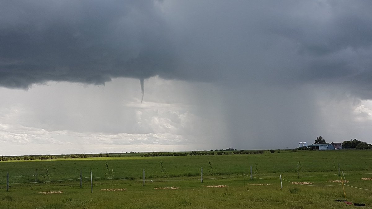 Daryl Chubb tweet media