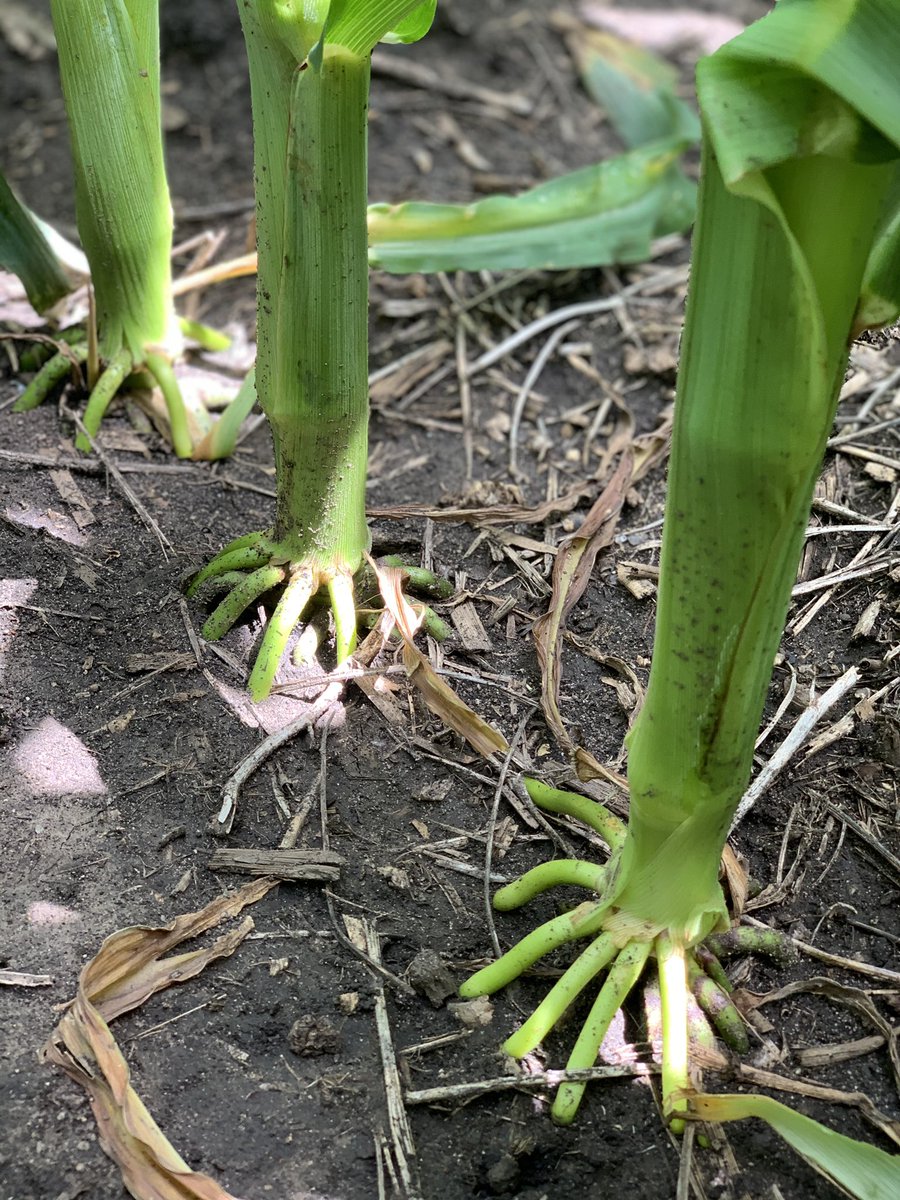 Preston Wilson tweet media