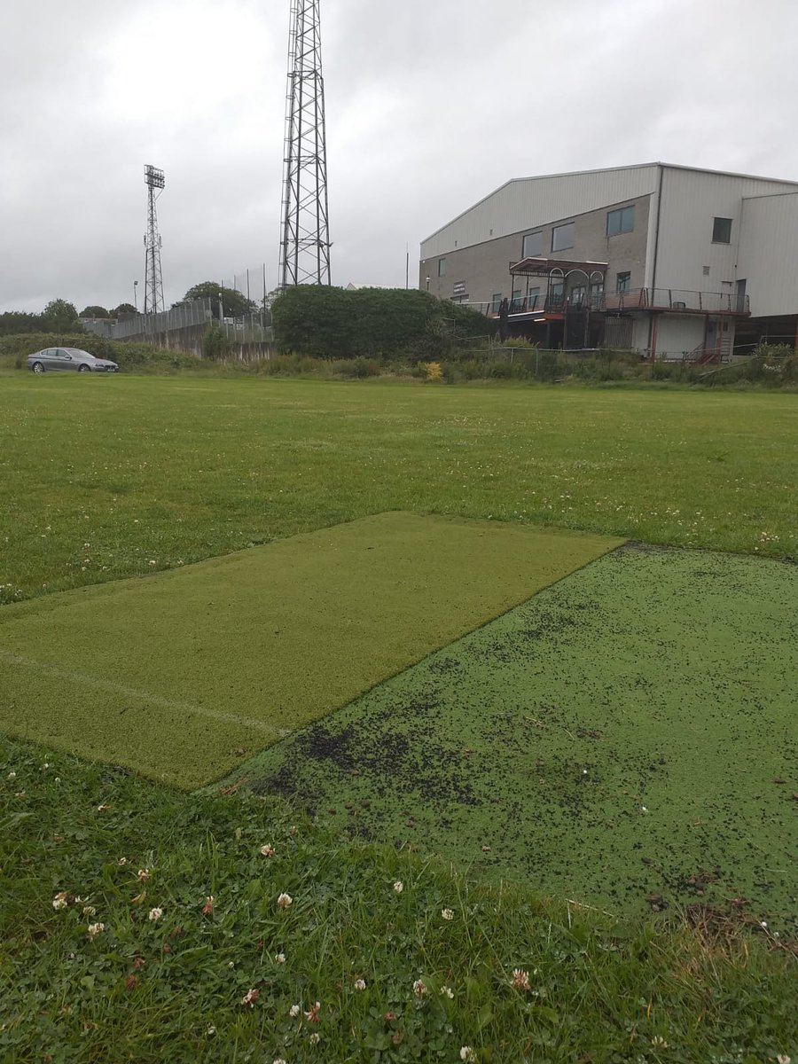 Dundalk Cricket Club tweet media