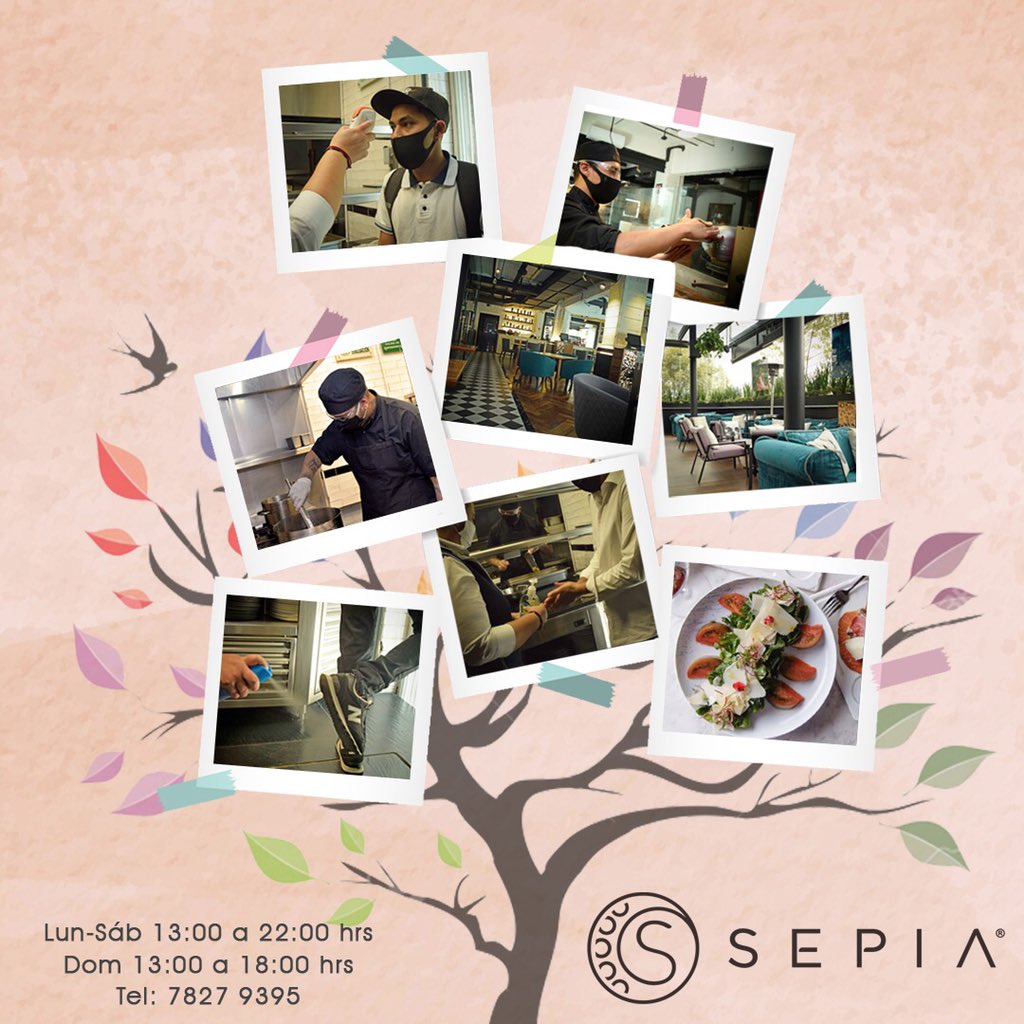 Estamos felices de anunciarles que #mañana 2 de julio #Sepia estará abierto para recibirlos nuevamente 💥Disfruta de nuestra #terraza con ventilación natural, deliciosa cocina italiana y el mejor servicio bajo las más estrictas medidas de #higiene
#foodie #tastyfood #reapertura