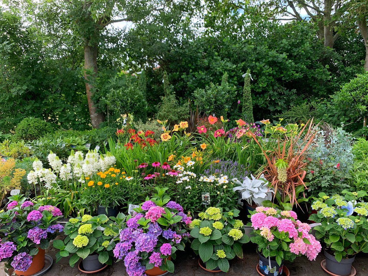Kom of ben je op #Texel, kom even langs! kwekerij-halsema.nl