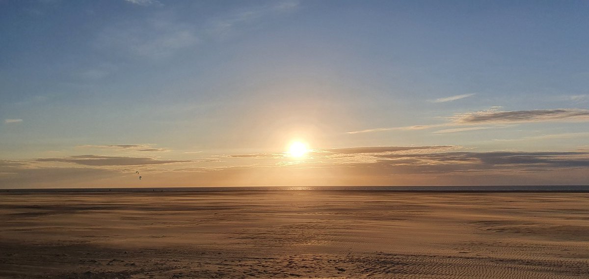 Havenlust's tweet image. 🕊️❤️