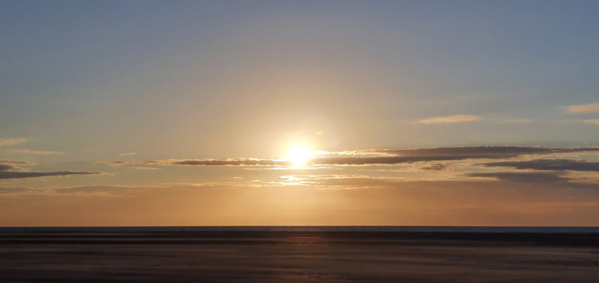 Havenlust's tweet image. 🕊️❤️