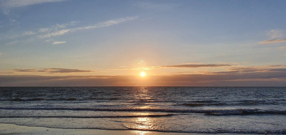 Havenlust's tweet image. 🕊️❤️