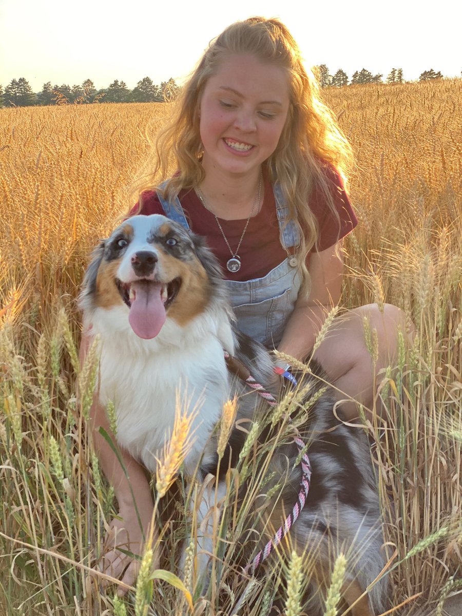 kenzie_cae's tweet photo. Puppy love 💕 https://t.co/60RYvpk4Lf