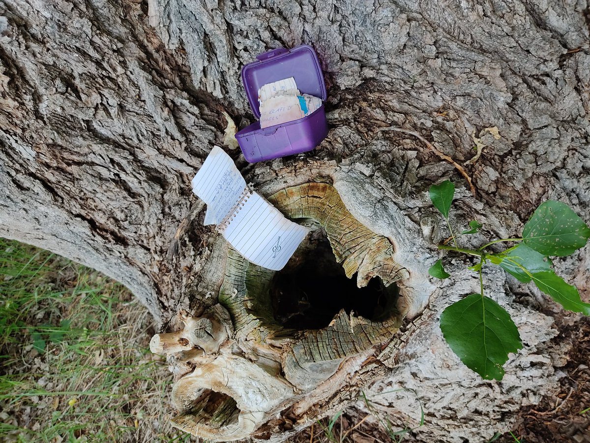 Becherzone tweet media