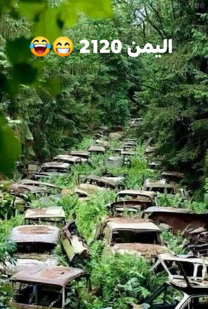 صورة من المستقبل😁
بعد ان ينقرض الشعب اليمني بسبب الازمات وتاتي شعوب جديده تسكن في #اليمن ويجدون هذه الاثار وبعد بحوث علميه وتنقيبات وجمع ادله عن ماضي الشعب اليمني يكتشفو ان هؤلاء كانو مساربين من أجل دبه بترول 20 لتر 🤣😂